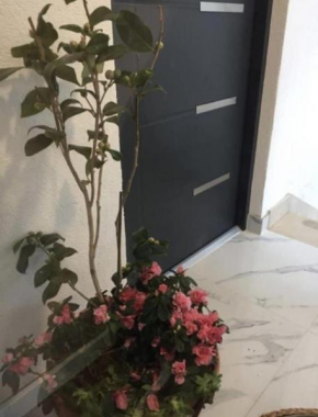 Apartments by the sea Tucepi, Makarska - 23118